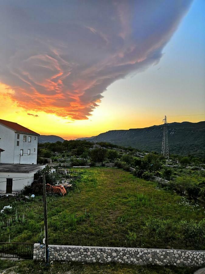 Vila Zdenka Novi Vinodolski Exterior photo